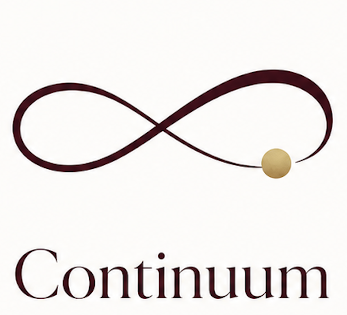 Continuum pixel source logo