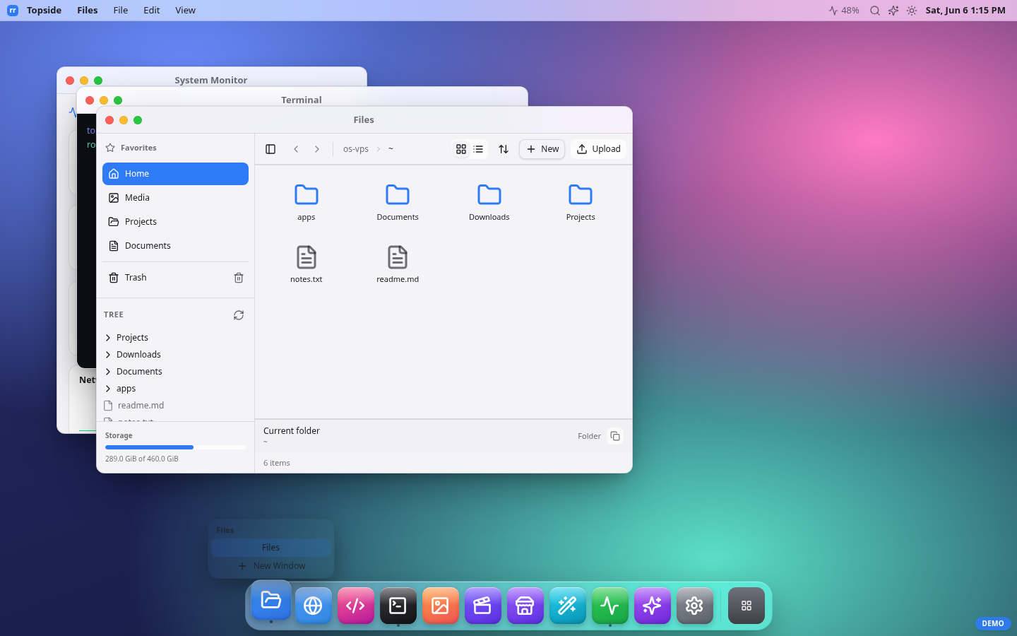 Topside desktop — Files, Terminal and System Monitor windows over the dock