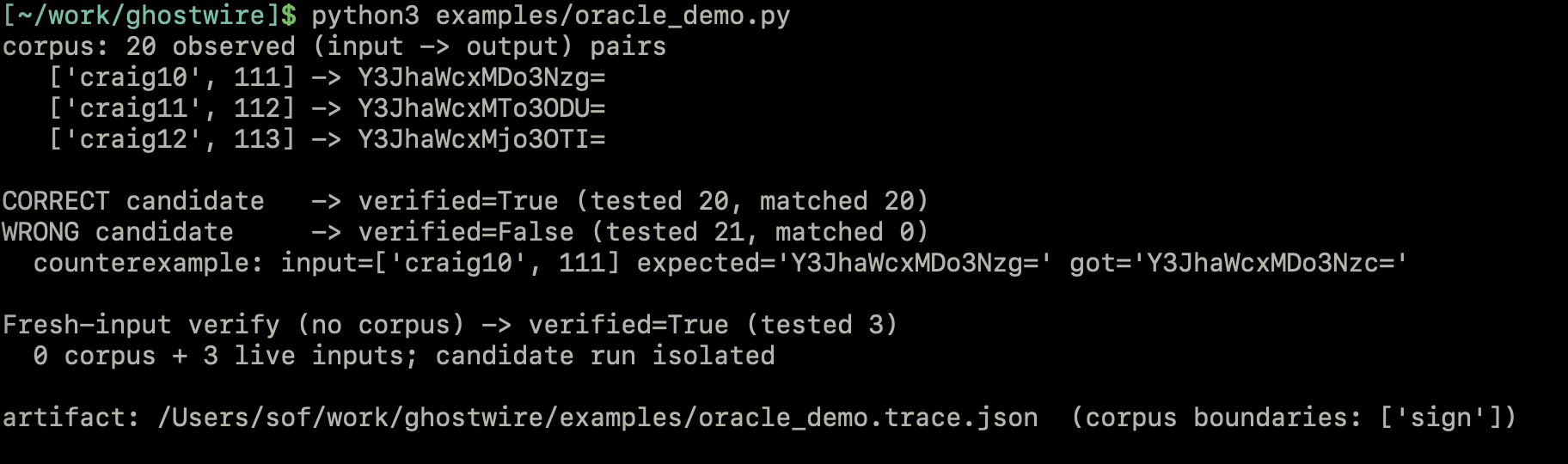 gw_verify catching a wrong reimplementation